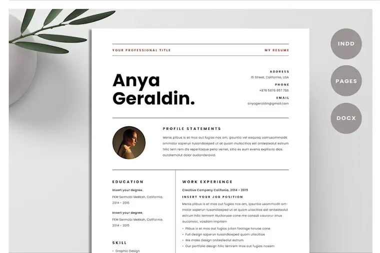 resume template cv 2