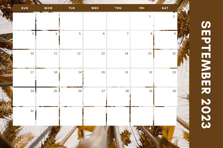 wheat photogtaphic september 2023 calendar