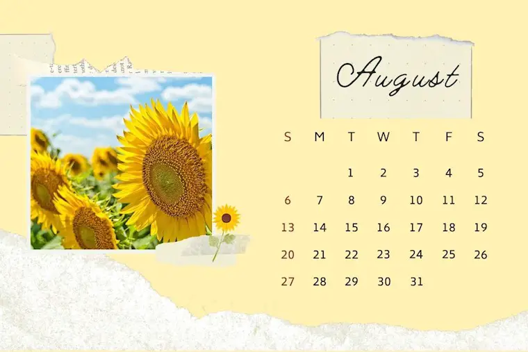 yellow torn paper with sunflower august 2023 calendar