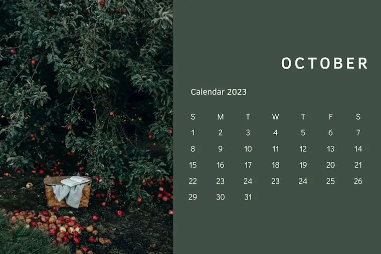 simple minimalist october 2023 monthly calendar