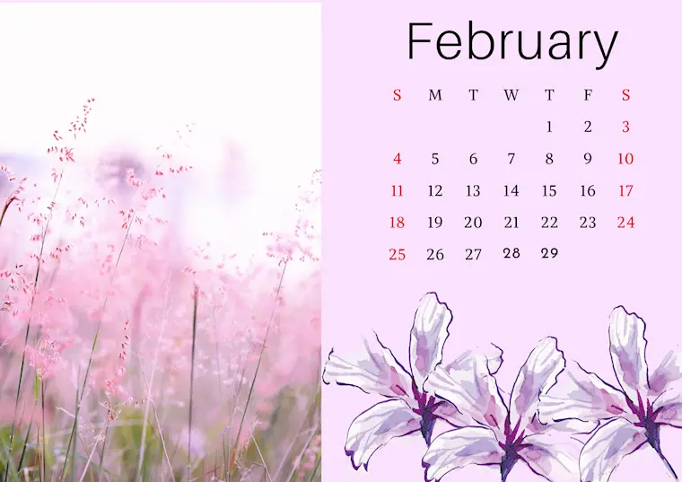 light pink organic floral february 2024 calendar