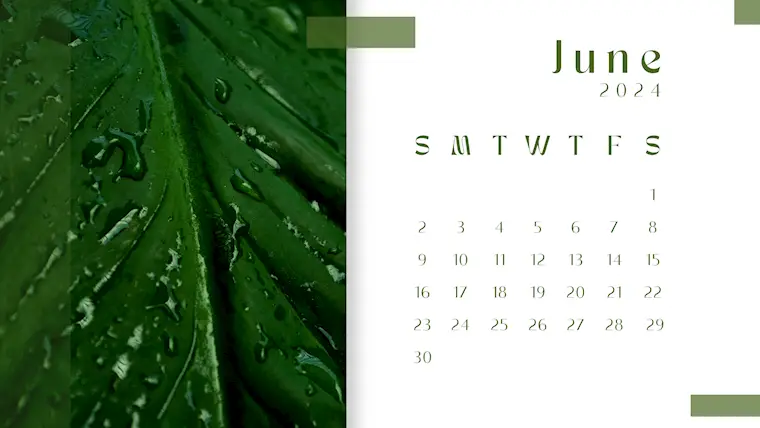 nature green modern minimal june 2024 calendar