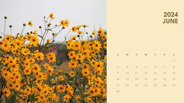 yellow illustrated soft floral june 2024 calendar