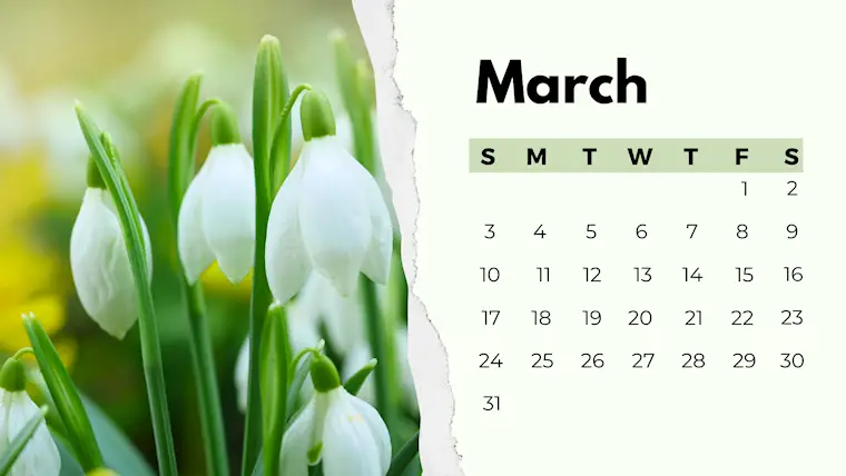 flower simple photo march 2024 calendar