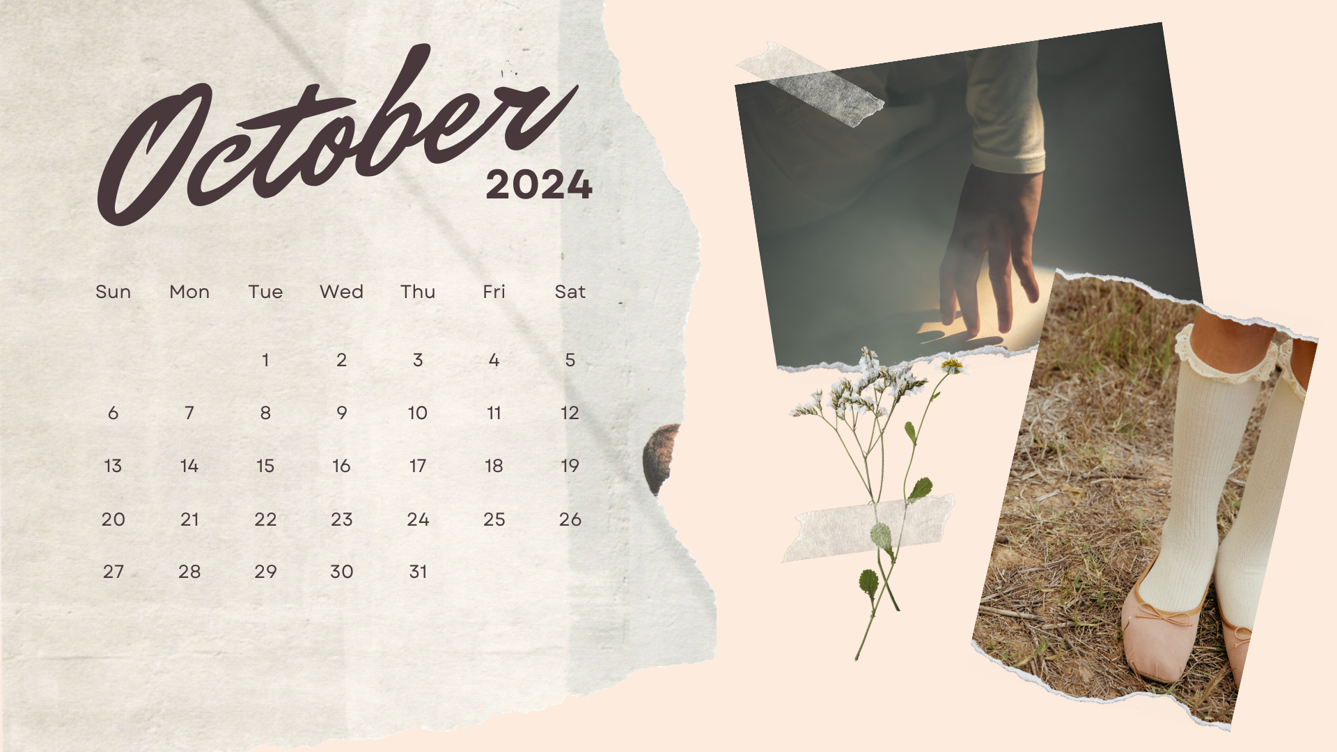 minimalist pastel aesthetic  october 2024 calendar