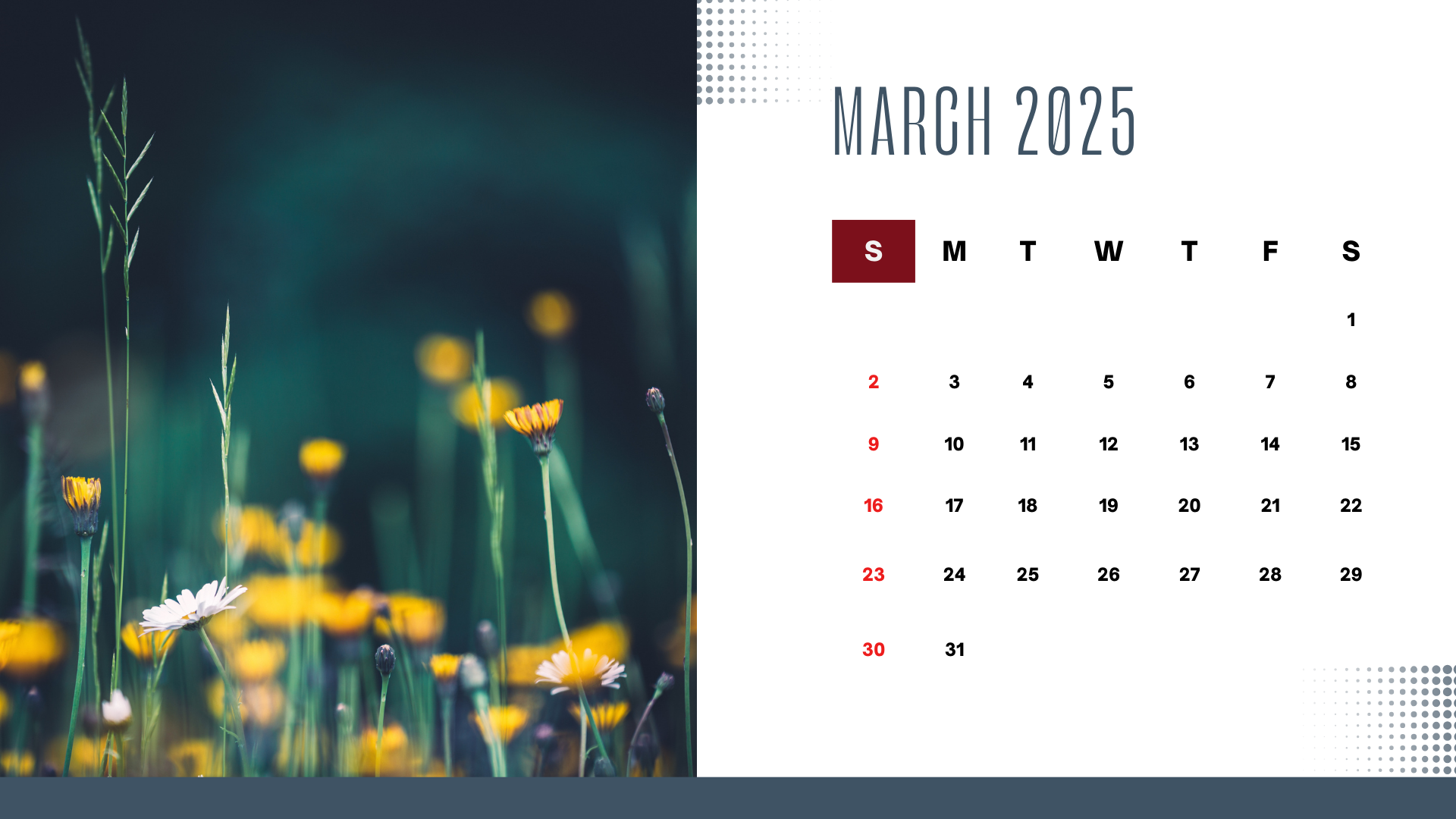 white basic modern march 2024 calendar