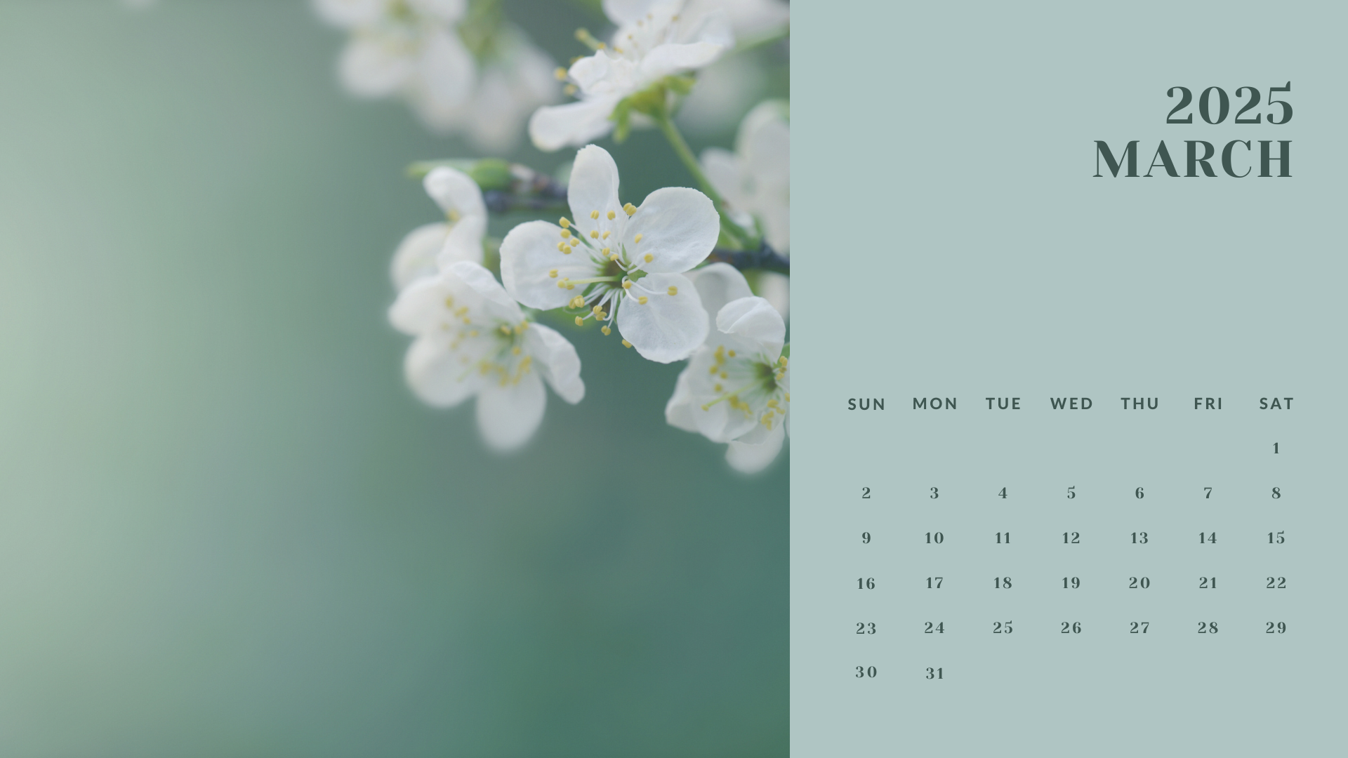 blue elegant photo march 2024 calendar