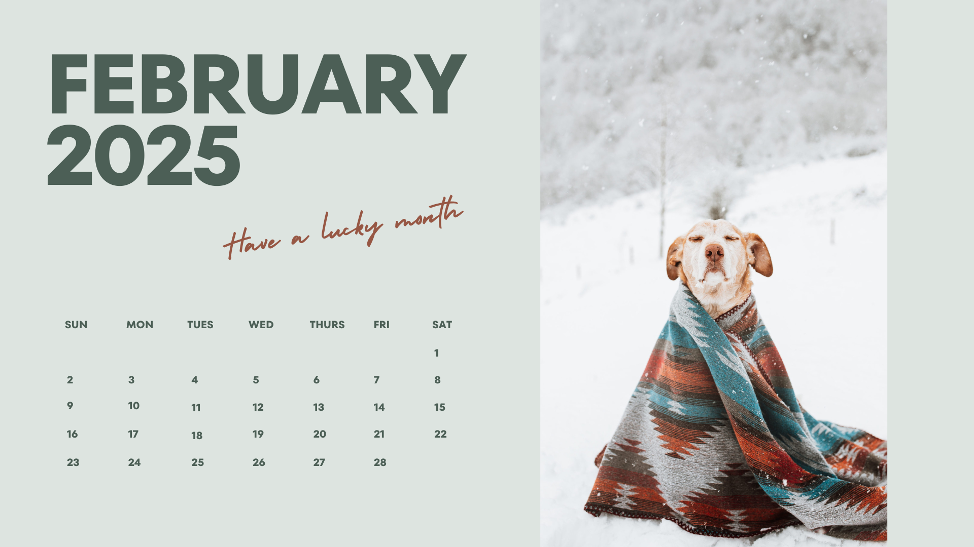 pastel free minimalist february 2025 calendar