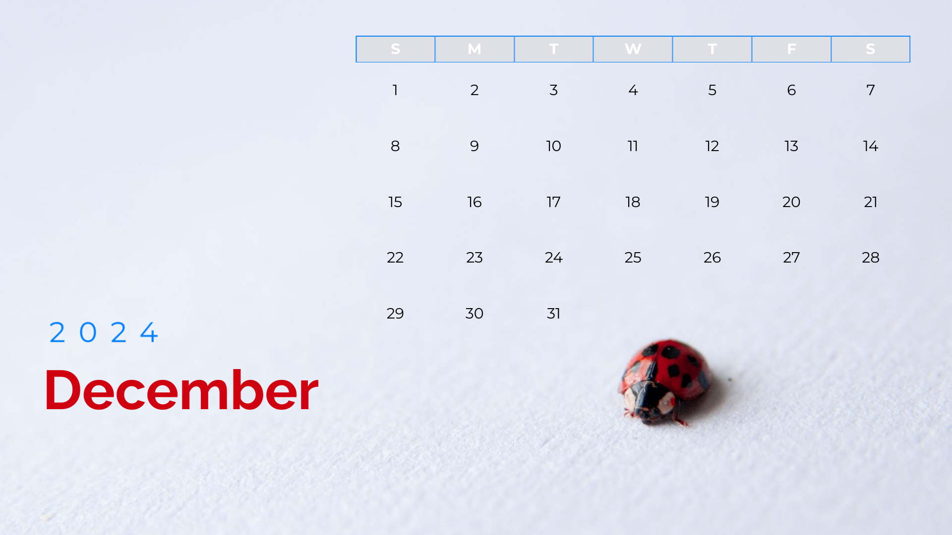 free minimalist december 2024 photo calendar