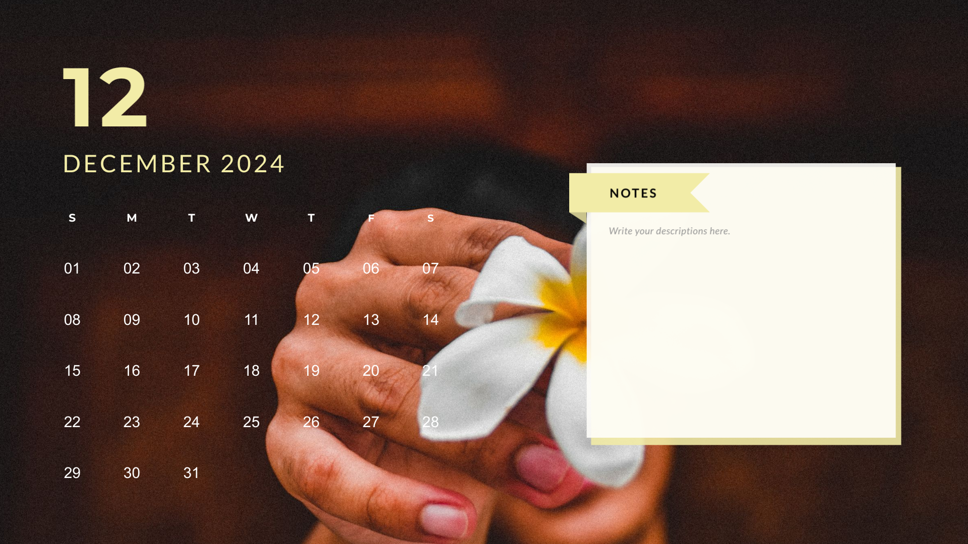 best modern aesthetic december 2024 calendar