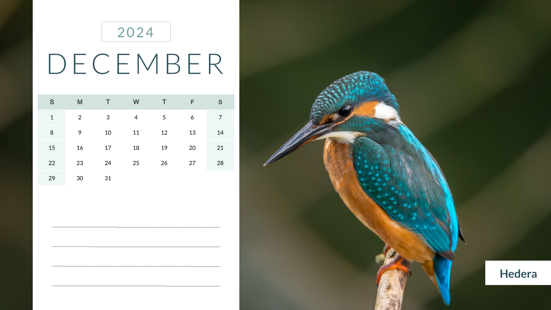 simple nature minimalist december 2024 calendar